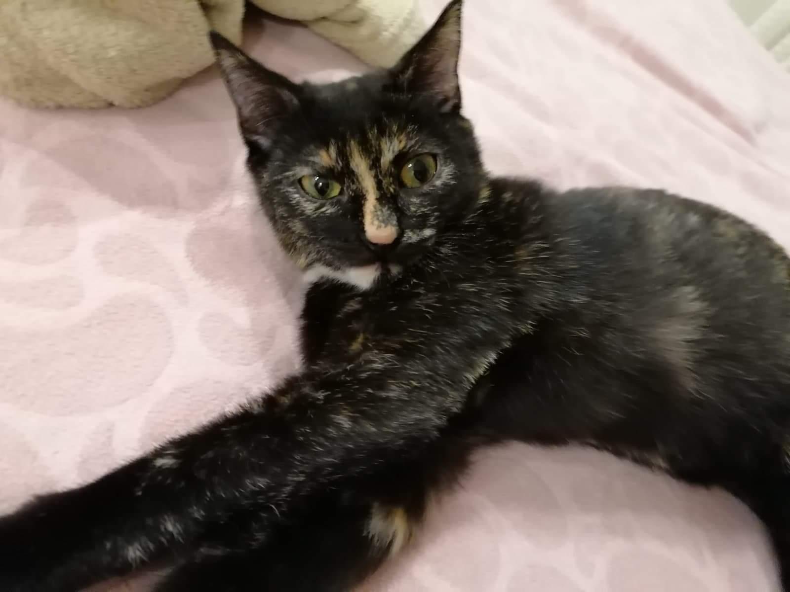 Kika