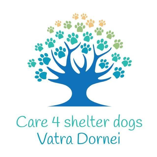 STICHTING CARE 4 SHELTER DOGS