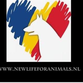 STICHTING NEW LIFE FOR ANIMALS ROEMENIE 