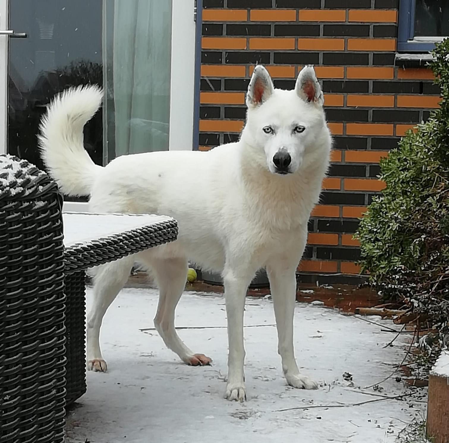Max