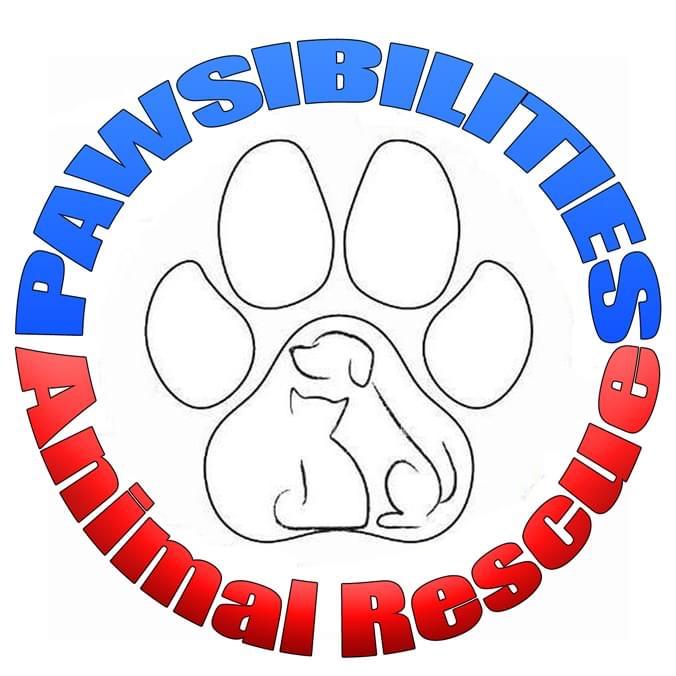 Stichting Padessie Animal rescue