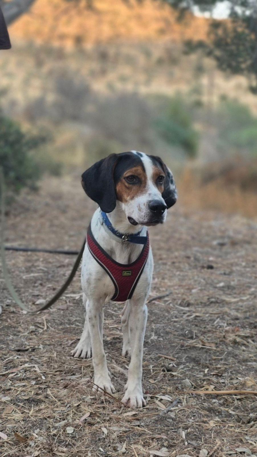 Marlo