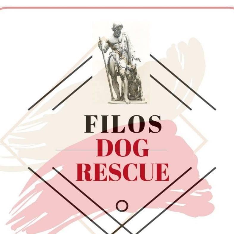 STICHTING FILOS DOG RESCUE