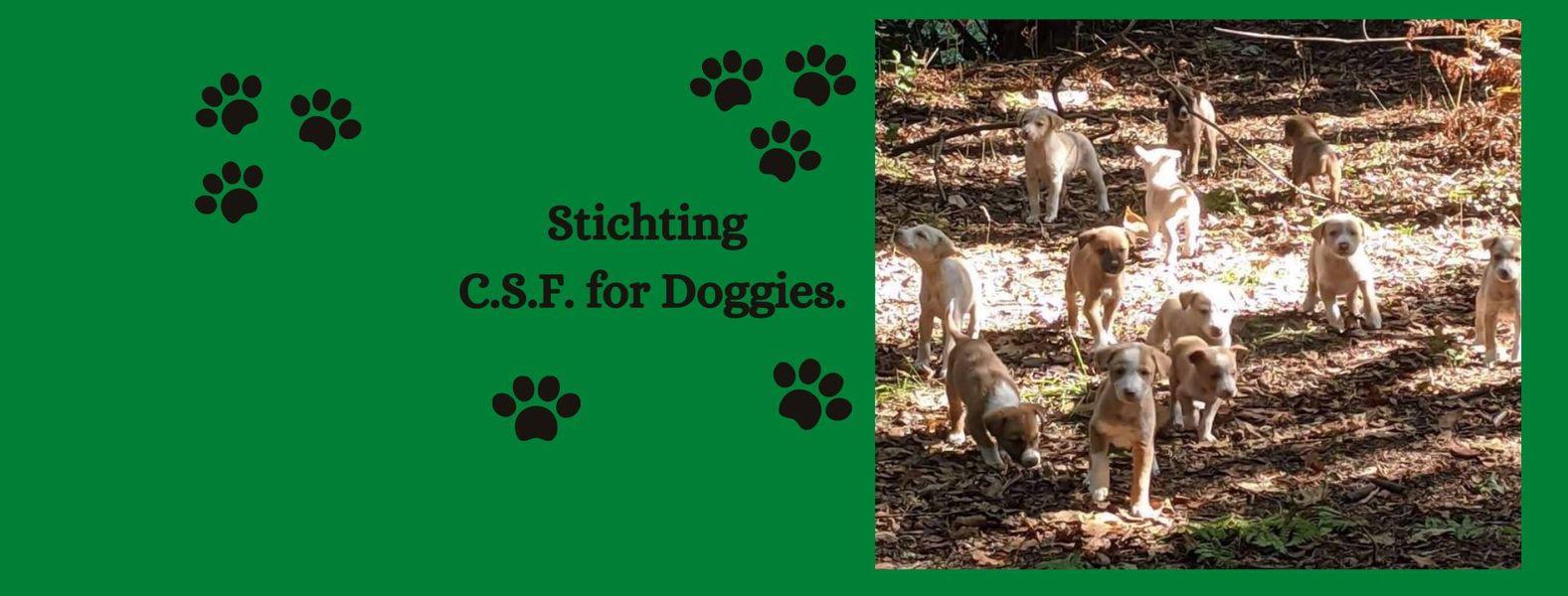 STICHTING C.S.F. FOR DOGGIES