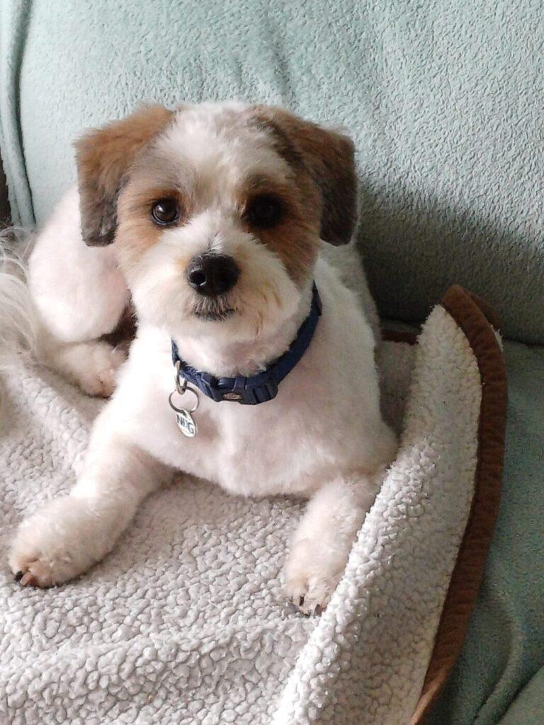 Bella