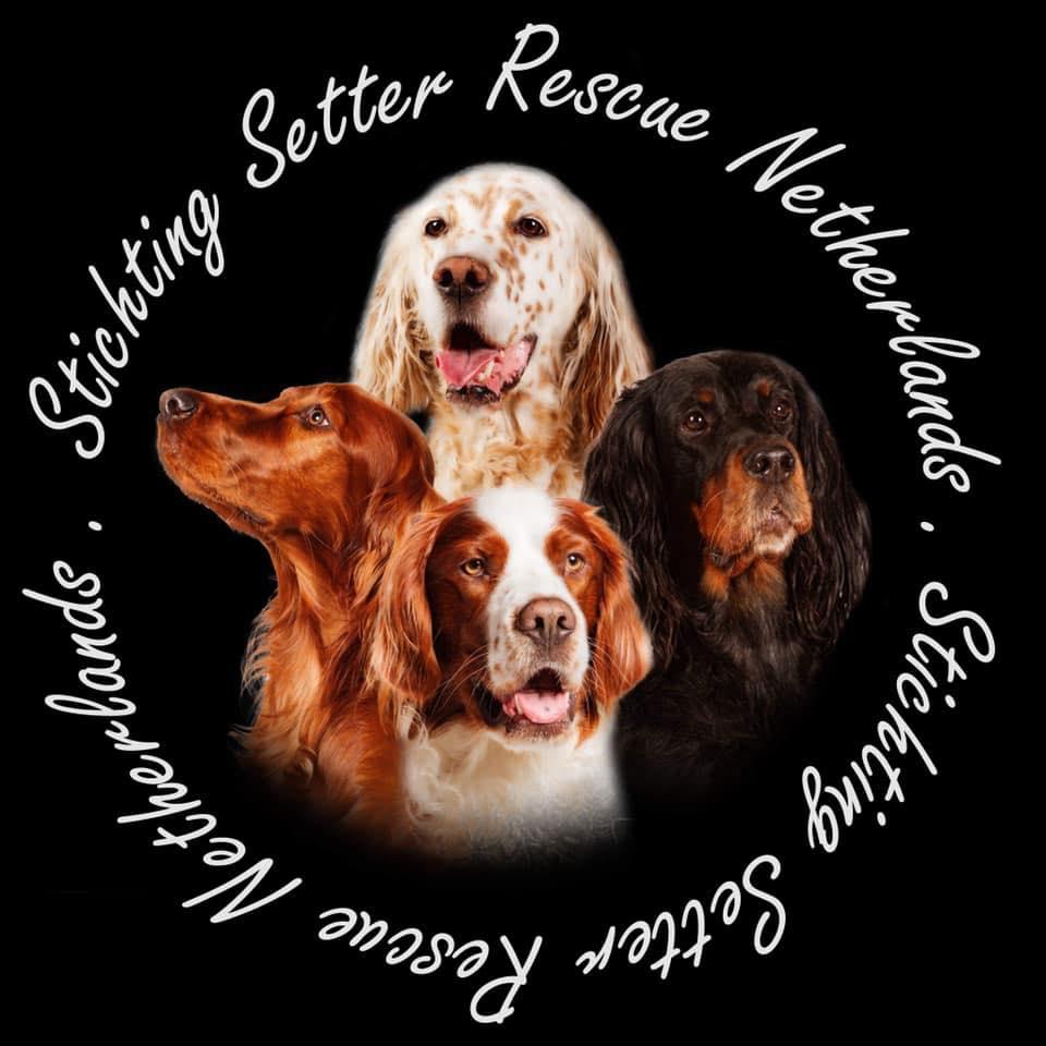 STICHTING SETTER RESCUE NETHERLANDS