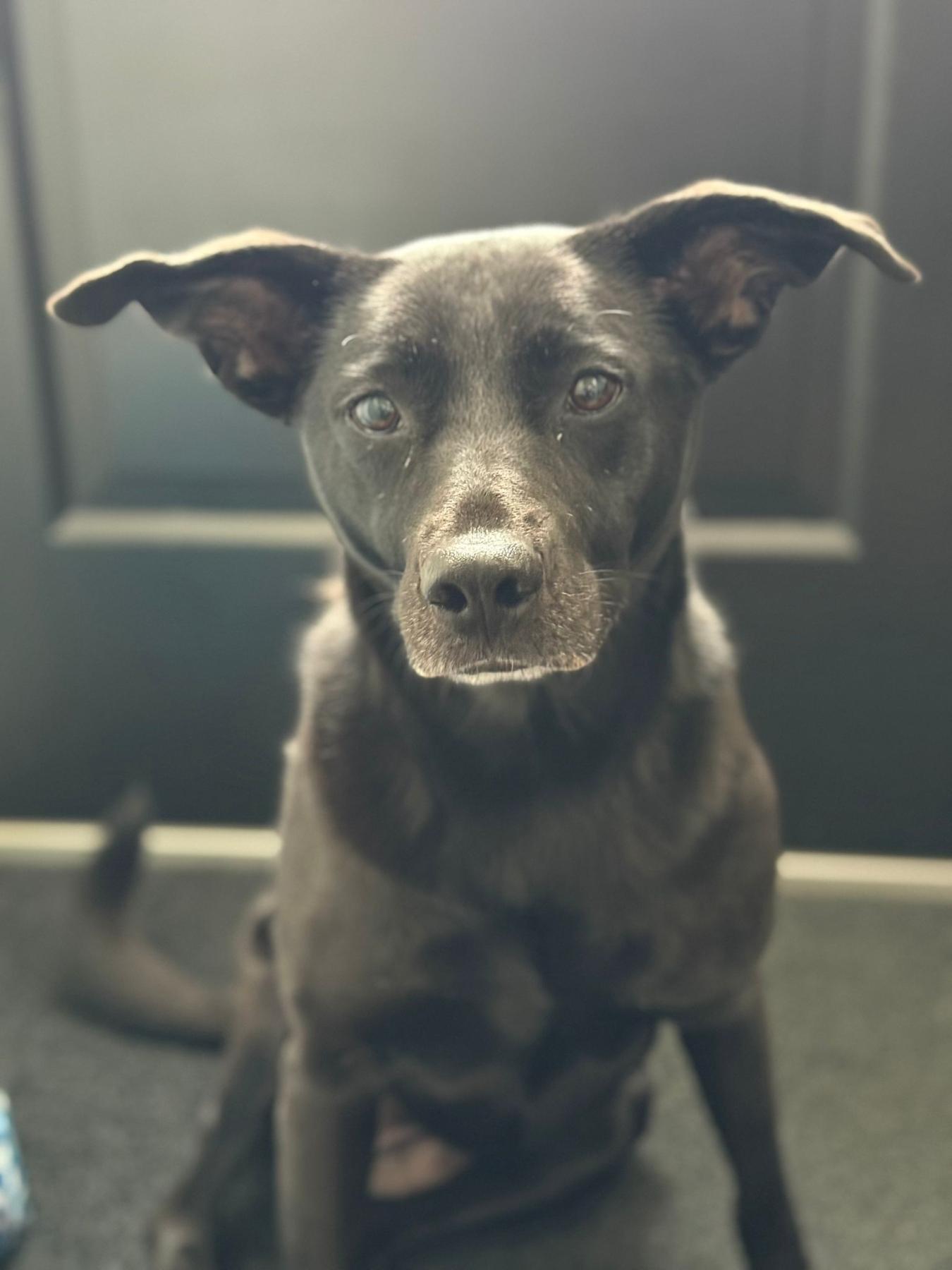 Tina