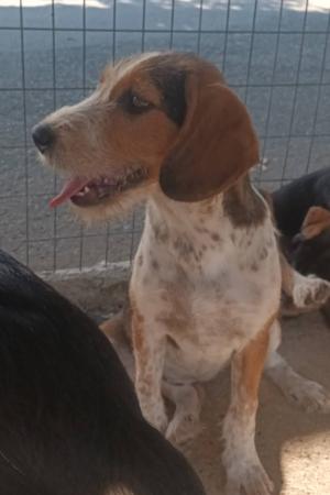 Fiona