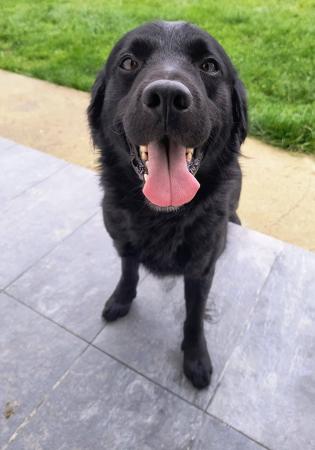 Jack