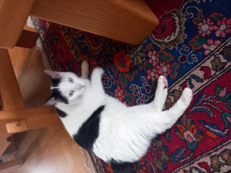 Tom