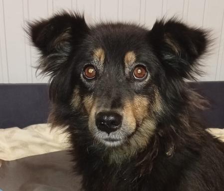 Bella