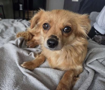 Peki