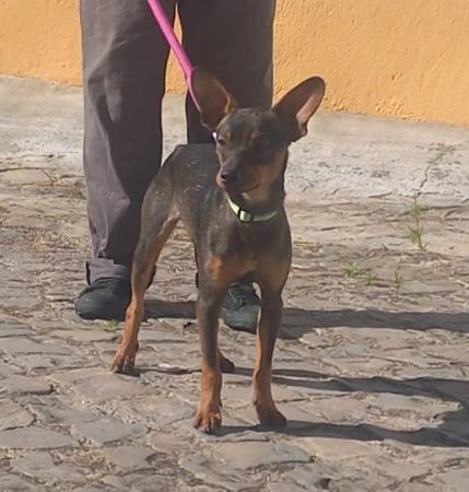 Kiko