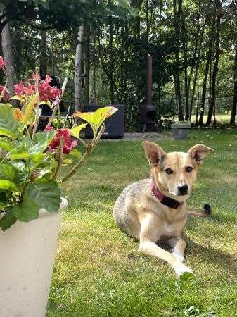 Bindi