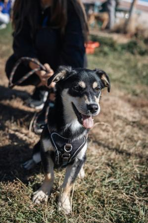 Milo