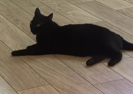 Coco