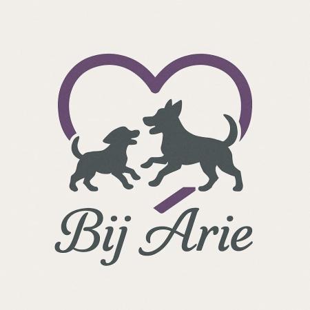 Hondendagopvang Bij Arie
