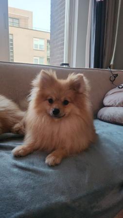 Ralf