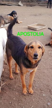 Apostolia