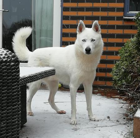 Max