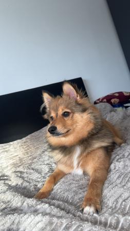 Pablo