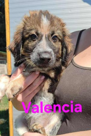 Valencia