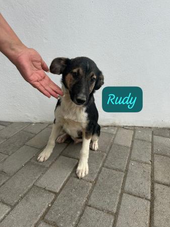 Rudy
