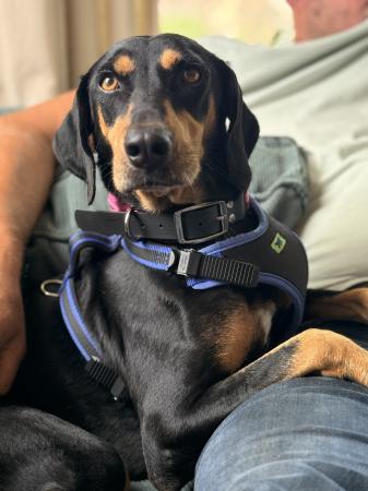 Zina