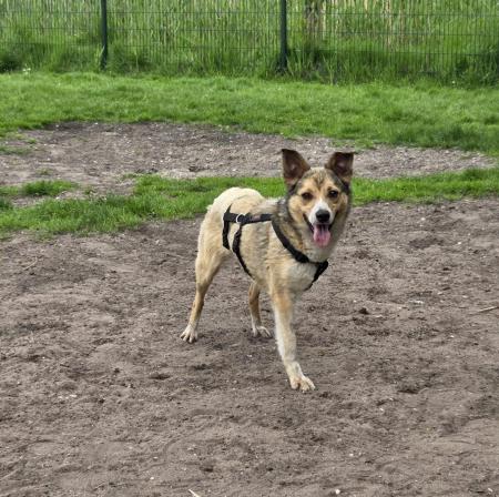 Vicky