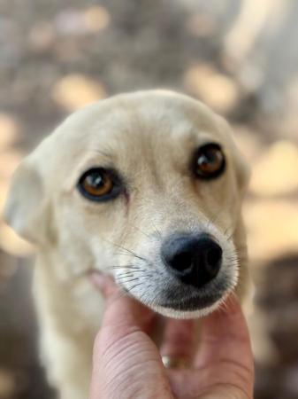 Xena