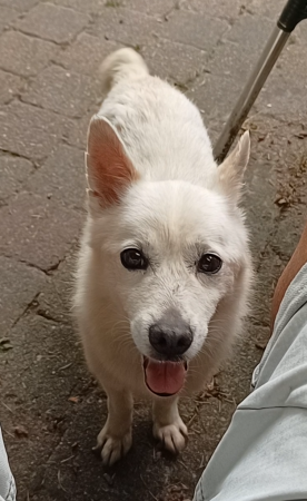 Carlos