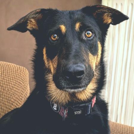Blacky