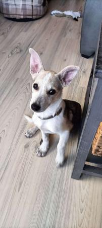 Fiona