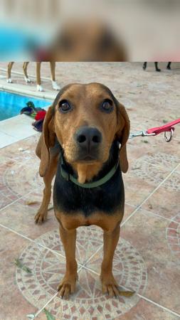 Chester