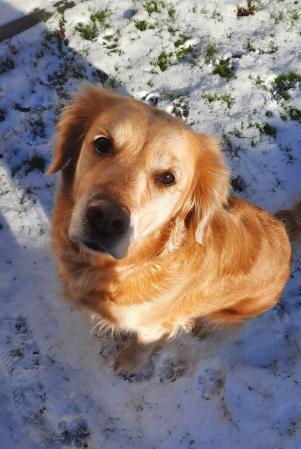Luca