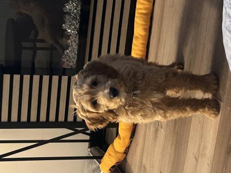 Charlie