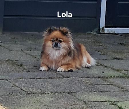 Lola