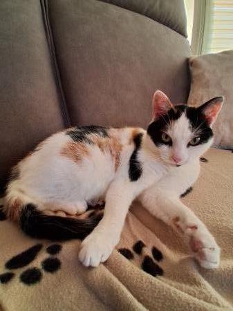 Mimie