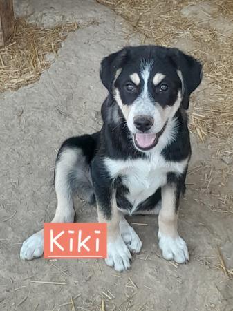 Kiki