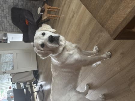 Jax