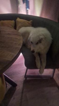 Yuki