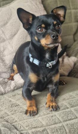 Pip