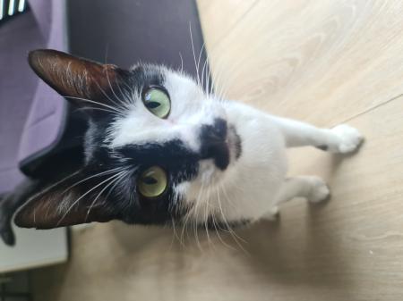 Nala.Melow
