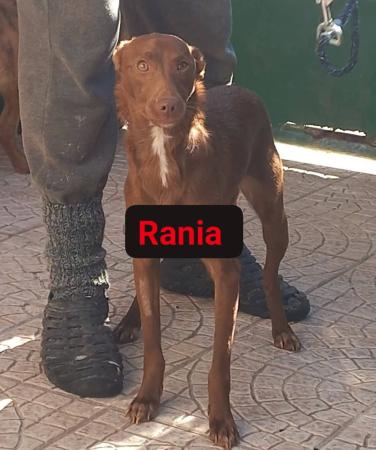 Rania