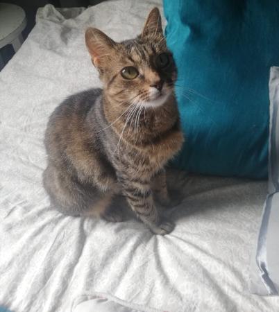 Tilly