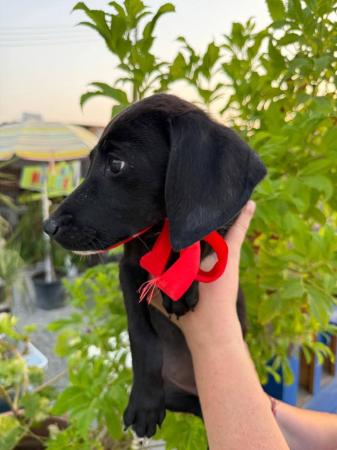 Ruby