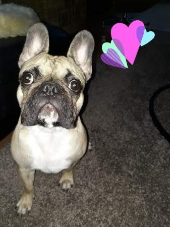 Sophie