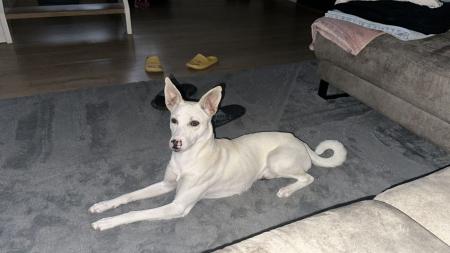 Max