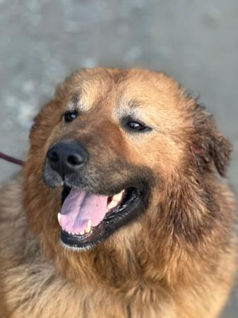Kiva