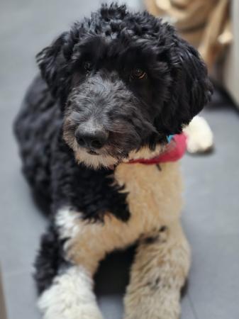Zack